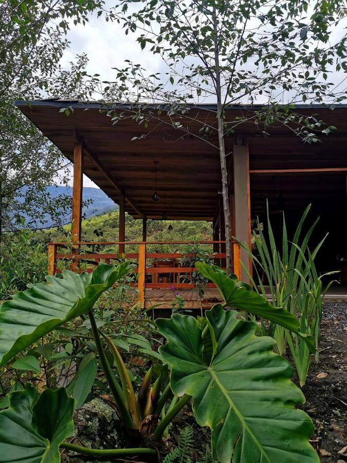 Goctamarca Lodge Cocachimba Eksteriør billede